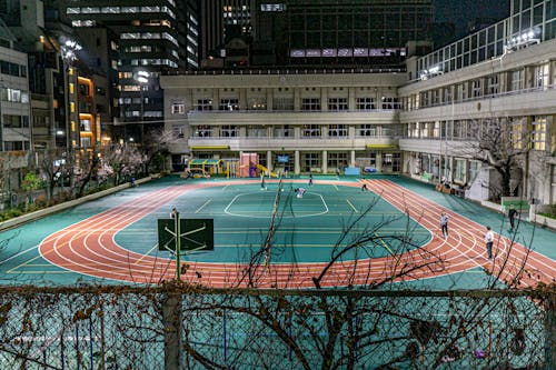 险管理上