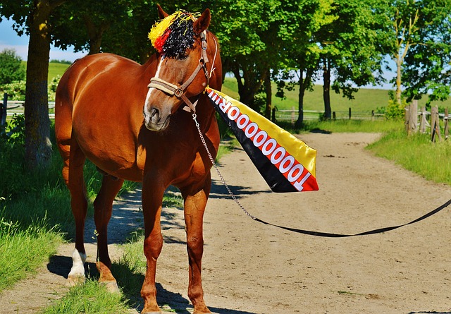 果自然会来